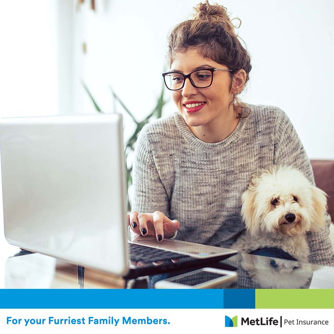 MetLife Pet Insurance 