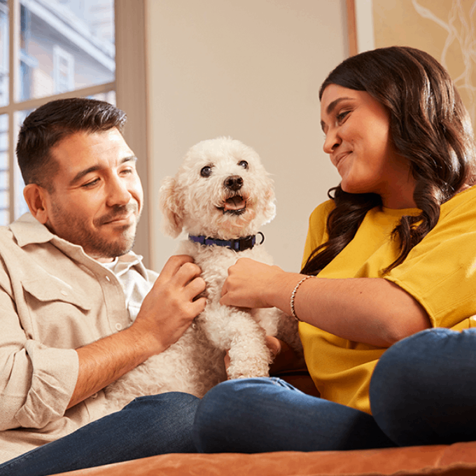 Embrace Pet Insurance for Dogs 