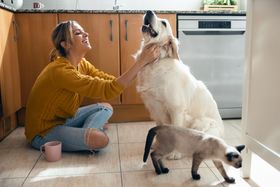 5 Best Pet Insurance Providers for Dogs & Cats in the US [{year}]