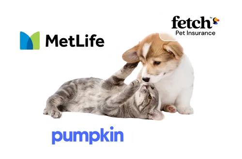 a dog and a cat playing with each other, surrounded by the logos of three premium pet insurance providers