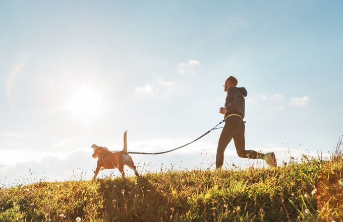 A dog running with owner in a field
